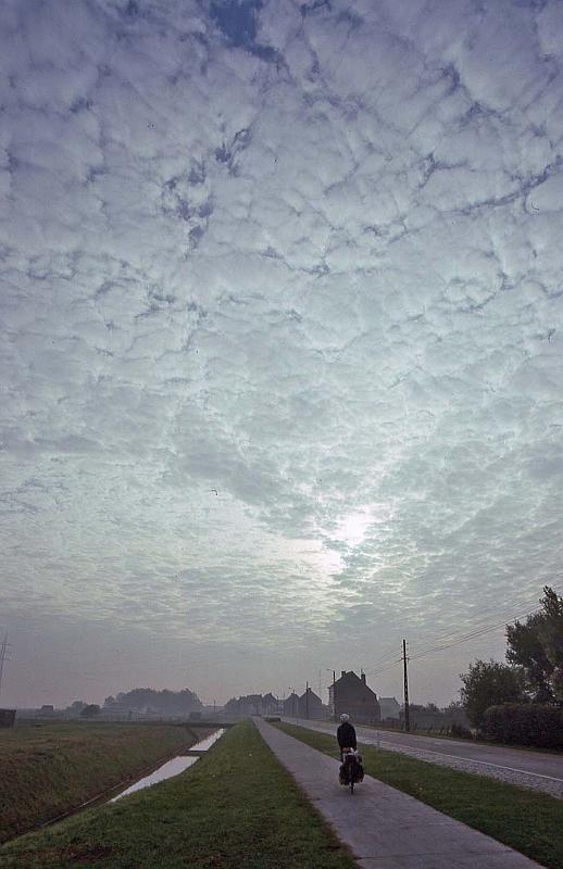 WT 2000 263-23 Belgium.jpg